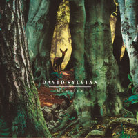 The Greatest Living Englishman - David Sylvian