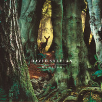 Random Acts Of Senseless Violence - David Sylvian