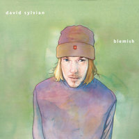How Little We Need To Be Happy - David Sylvian