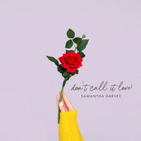 Don't Call It Love - Samantha Harvey