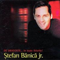 Stefan Banica Jr