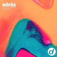 Like an Animal - RÜFÜS DU SOL, Trinidad