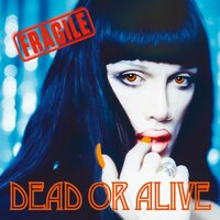 Hit and Run Lover - Dead Or Alive