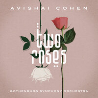 Alon Basela - Avishai Cohen, Gothenburg Symphony Orchestra, Elchin Shirinov