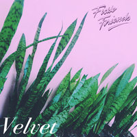 Velvet - Fickle Friends