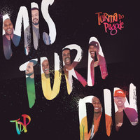 Cobertor de Orelha - Turma do Pagode