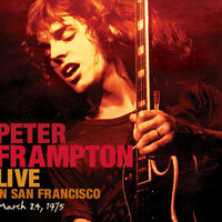 It's A Plain Shame - Peter Frampton