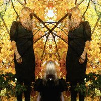 Spellwork - Austra