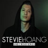 I Wont Give up on You - Stevie Hoang