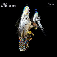 Lullaby - The Courteeners