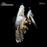 Revolver - The Courteeners