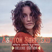 While It Ain't Rainin' - Ashton Shepherd