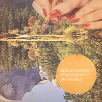 I Don't Worry (As Much As I Should) - Hellogoodbye