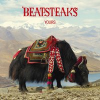 Velosolex - Beatsteaks, Stereo Total