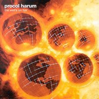 The VIP Room - Procol Harum