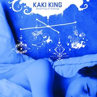 Saving Days in a Frozen Head - Kaki King