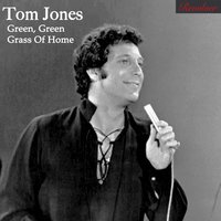 All I Get From You Is Heartaches - Tom Jones