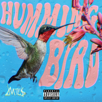 Hummingbird - Jutes