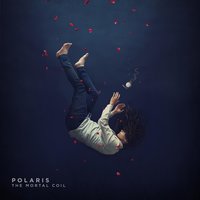 Crooked Path - Polaris