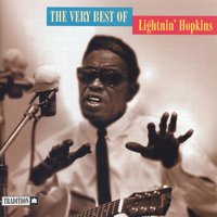 Shaggy Dad - Lighnin' Hopkins