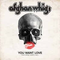 You Want Love - The Afghan Whigs, James Hall