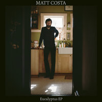 Ark Song - Matt Costa