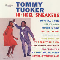 Hi-Heel Sneakers - Tommy Tucker