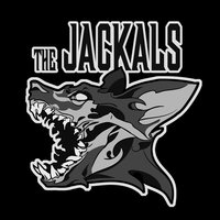 Messenger - The Jackals