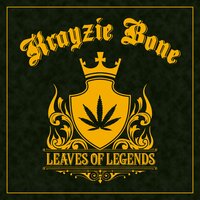 Not On My Level - Krayzie Bone