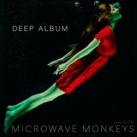 Circle in the Sand - Microwave Monkeys, Nita