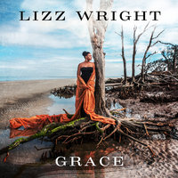 Every Grain Of Sand - Lizz Wright