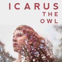 Hidalgo’s Secret Hideout - Icarus the Owl