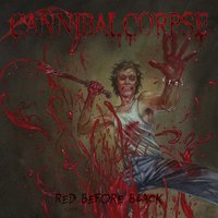 Firestorm Vengeance - Cannibal Corpse