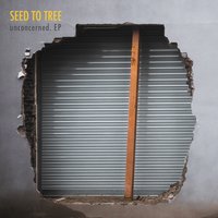 Unconcerned - Seed To Tree