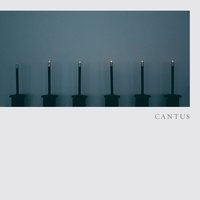O Magnum Mysterium - Cantus, Томас Луис де Виктория