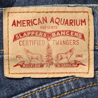 Should've Been a Cowboy - American Aquarium