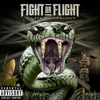 Shine - Fight Or Flight