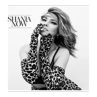 More Fun - Shania Twain