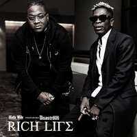 Rich Life - Shatta Wale, Disastrous