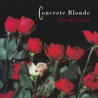 The Sky Is A Poisonous Garden - Concrete Blonde