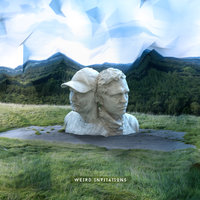 maybeDOTcom - Phlake