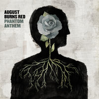 King Of Sorrow - August Burns Red