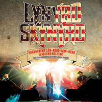 Needle And The Spoon - Lynyrd Skynyrd