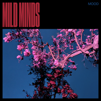 VIEWS - Mild Minds