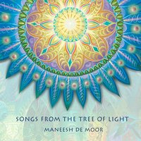 Heal Your Soul - Maneesh de Moor