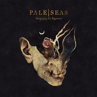 Heal Slow - Pale Seas