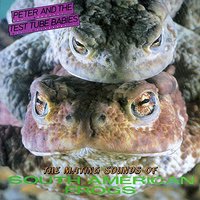 Never Made It - Peter & The Test Tube Babies
