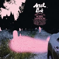 Revenge of the Iceman - Ariel Pink