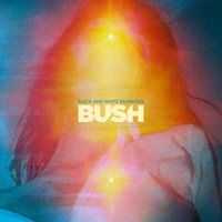 The Edge Of Love - Bush