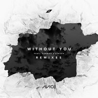 Without You - Avicii, Sandro Cavazza, Notre Dame
